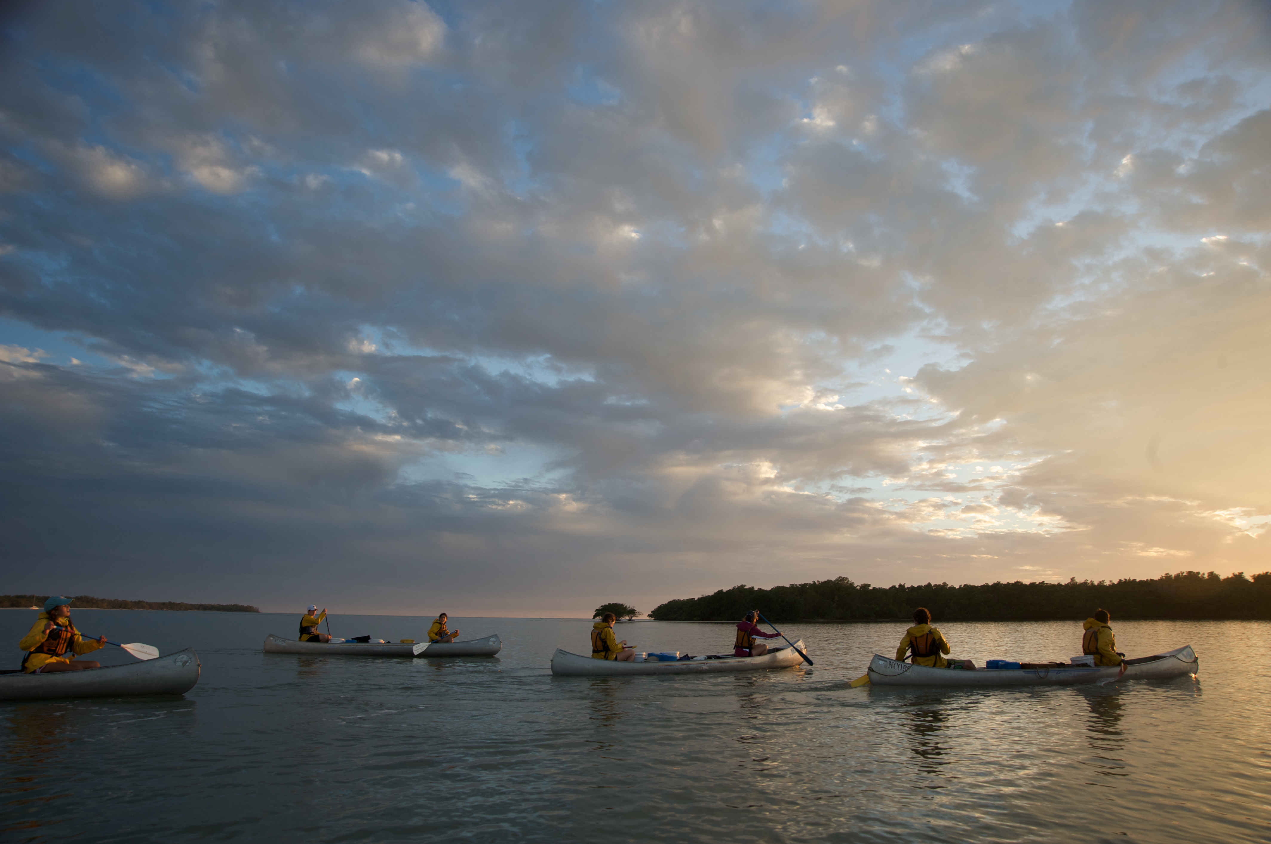 Canoeing in the Everglades